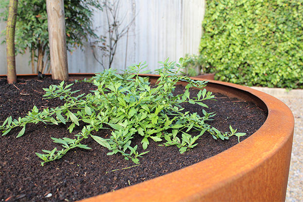 empresa_de_jardineras_de_acero_corten_diferentes_tamanos.jpg